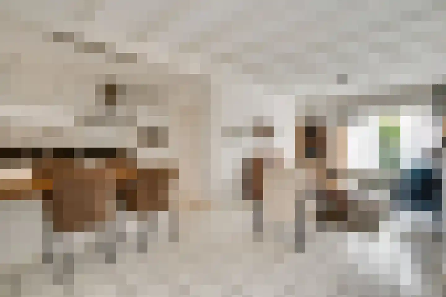 Johanna van Polanenstraat 20 Weert thumbnail 9