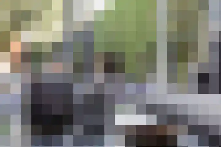 Johanna van Vlaanderenstraat 7 Helmond thumbnail 16
