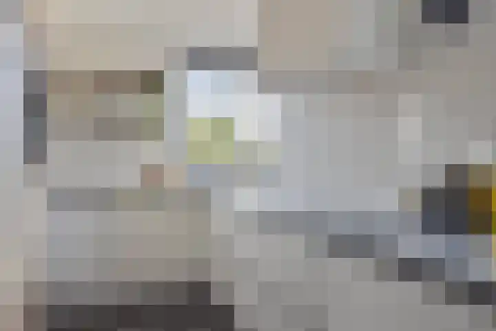 Johanna van Vlaanderenstraat 7 Helmond thumbnail 20