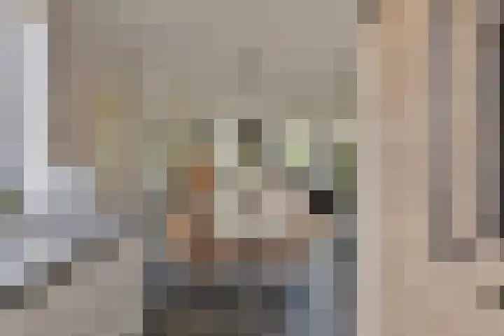 Johanna van Vlaanderenstraat 7 Helmond thumbnail 24