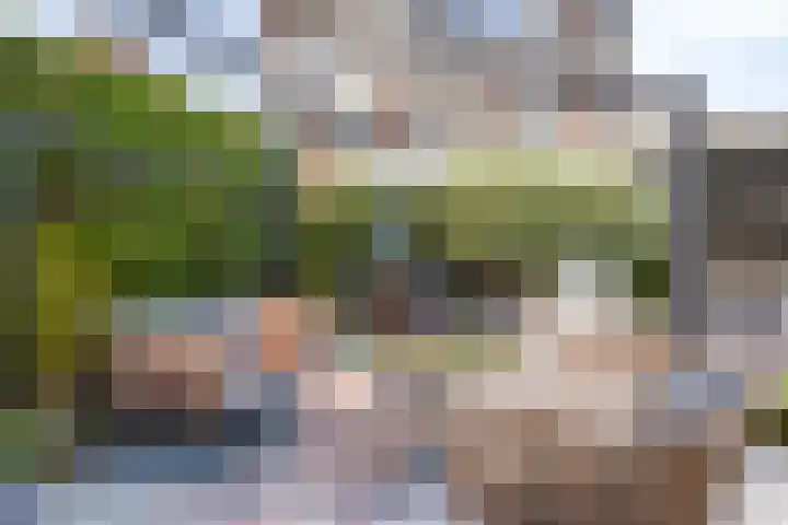 Johanna van Vlaanderenstraat 7 Helmond thumbnail 47