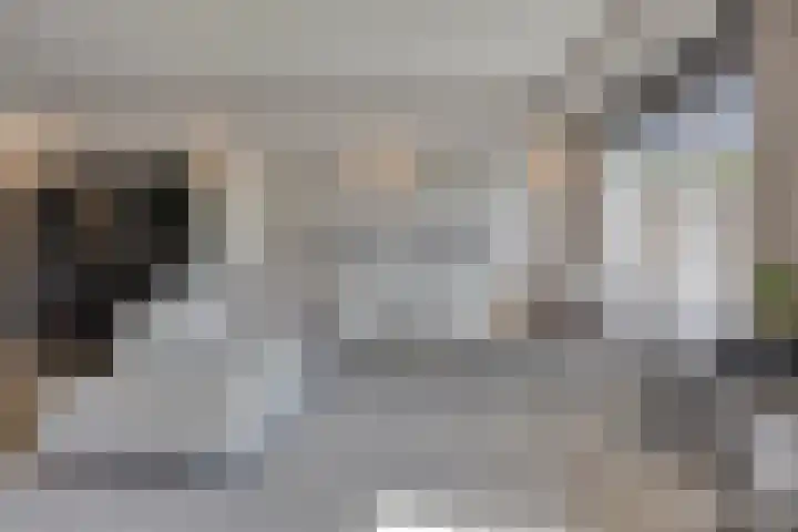Johanna van Woudelaan 14 Beverwijk thumbnail 10