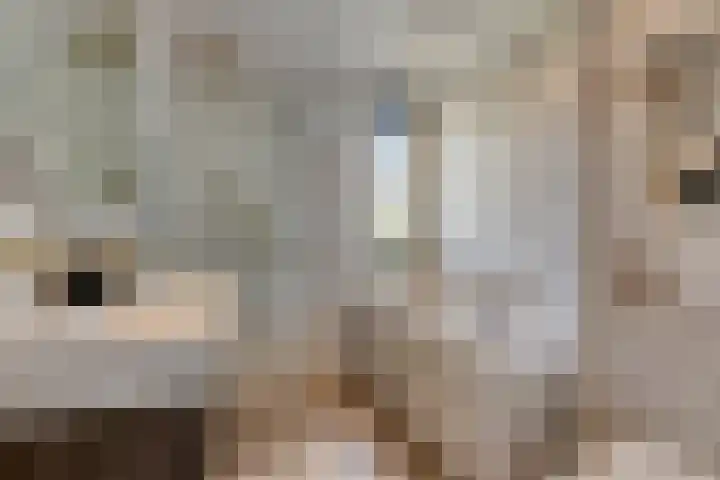 Johanna van Woudelaan 14 Beverwijk thumbnail 15