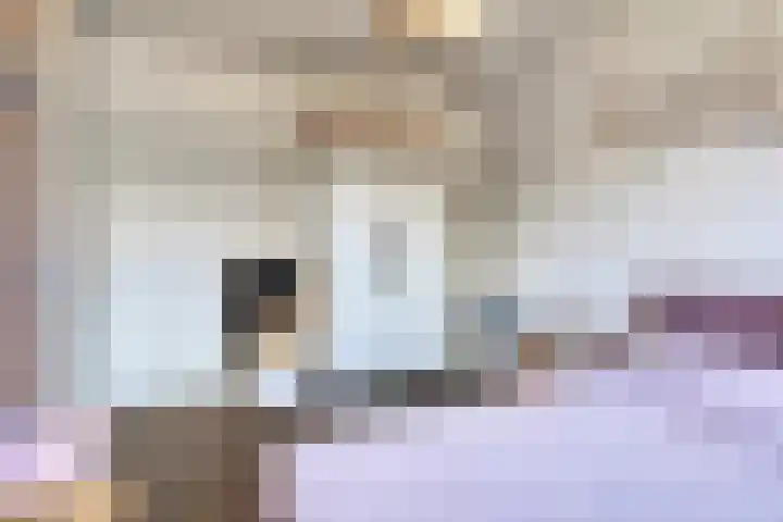Johanna van Woudelaan 14 Beverwijk thumbnail 20