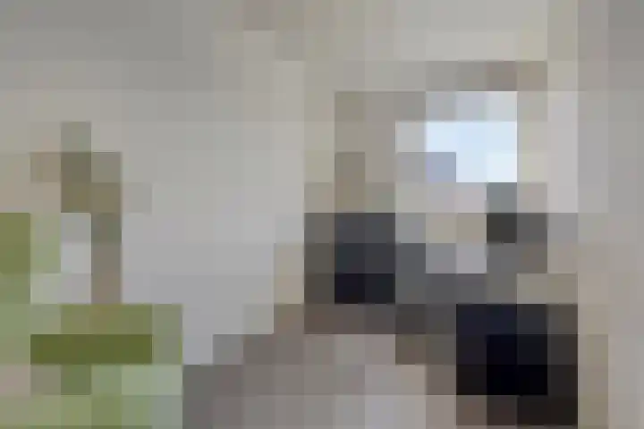 Johanna van Woudelaan 14 Beverwijk thumbnail 21