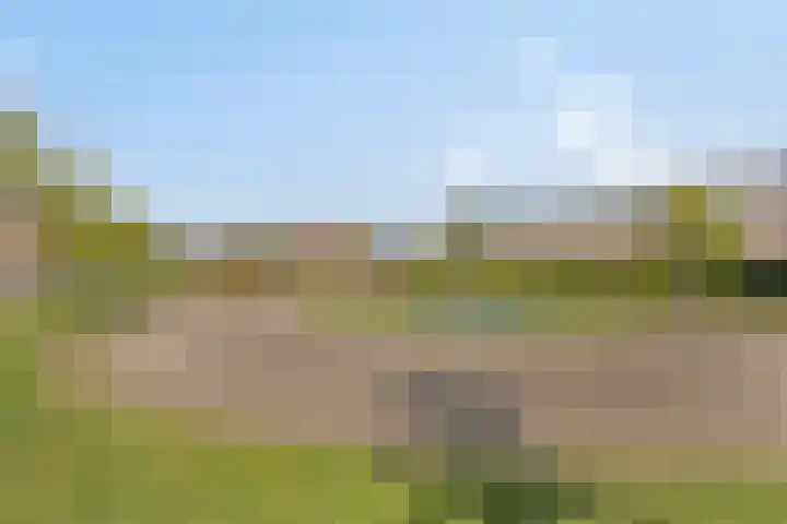 Johanna van Woudelaan 14 Beverwijk thumbnail 35