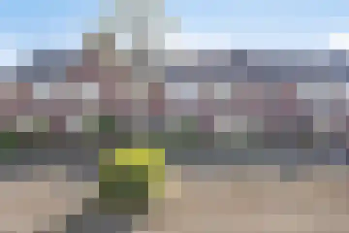 Johanna van Woudelaan 14 Beverwijk thumbnail 39
