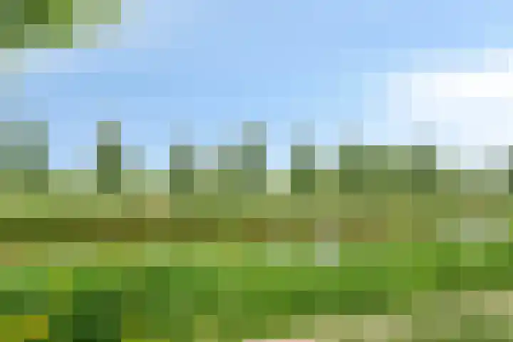 Johanna Westenengweg 12 Gouda thumbnail 31