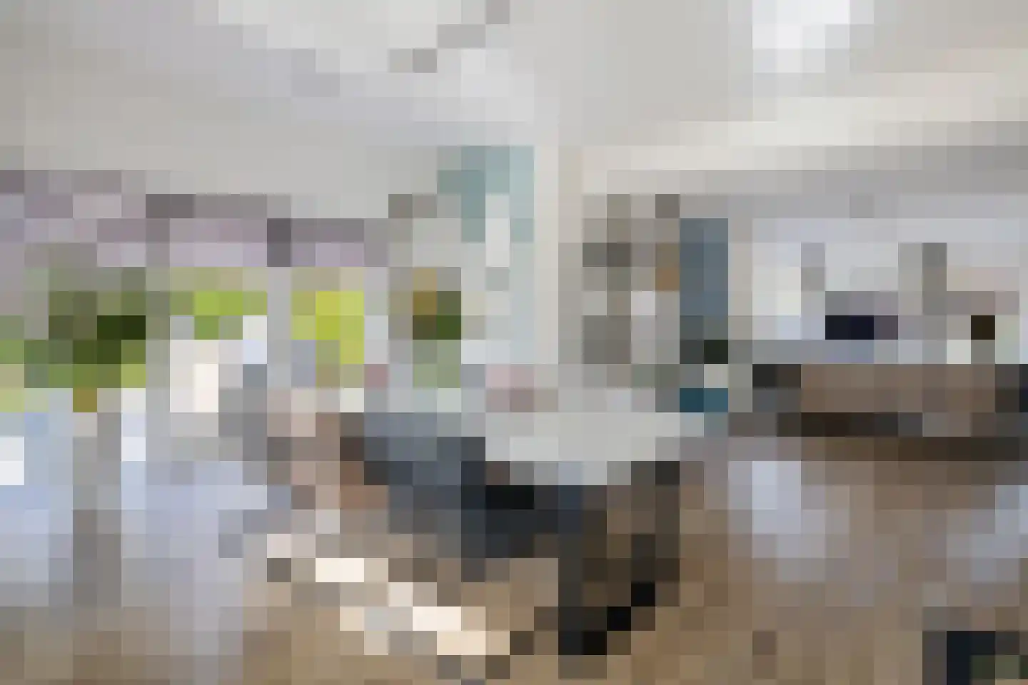 Johanna Westerdijk erf 12 Heerhugowaard thumbnail 18