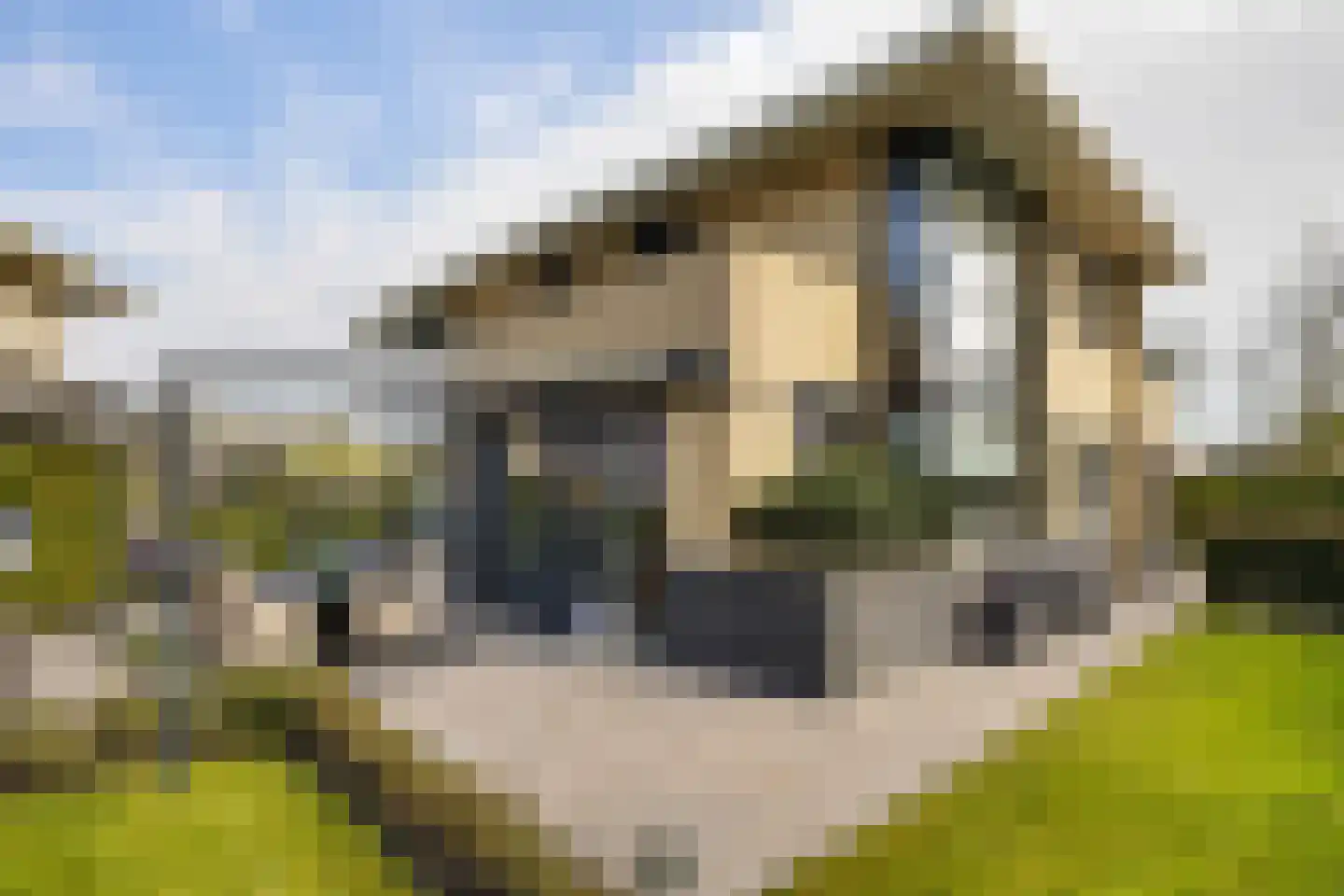 Johanna Westerdijk erf 12 Heerhugowaard thumbnail 35