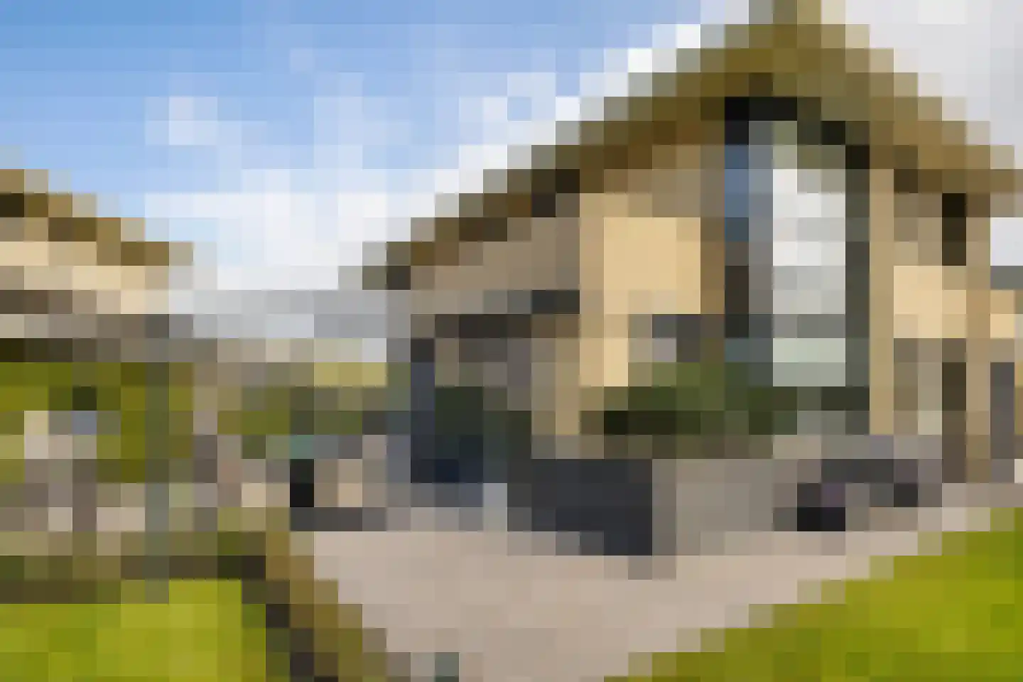Johanna Westerdijk erf 12 Heerhugowaard thumbnail 36