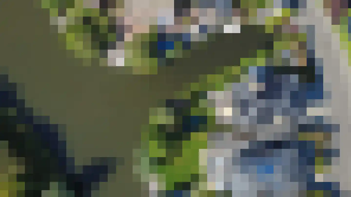 Johanna Westerdijk erf 49 Heerhugowaard thumbnail 101