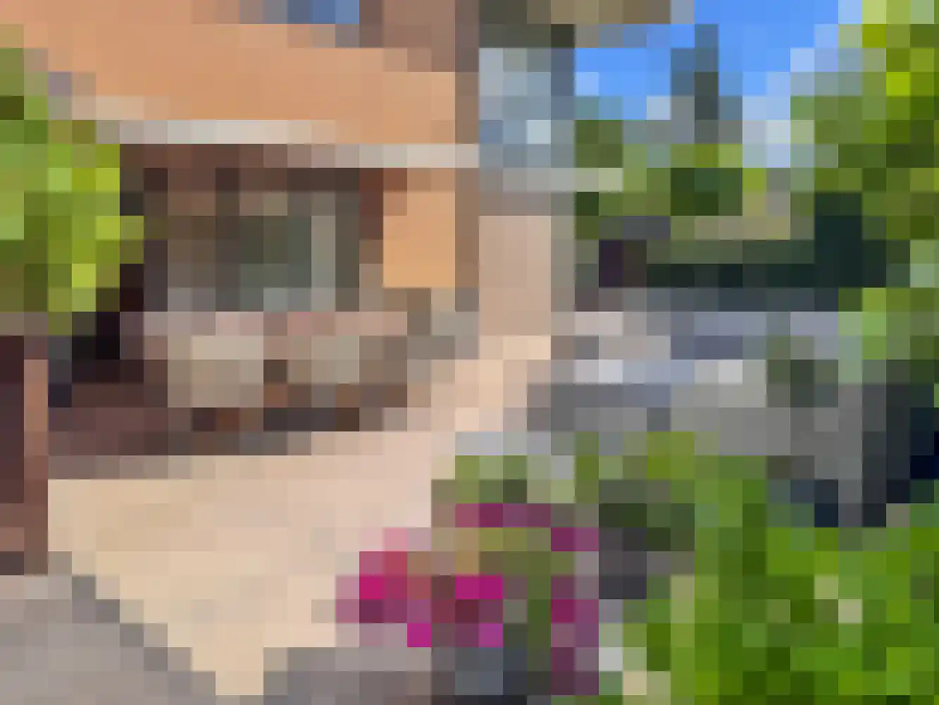 Johanna Westerdijk erf 49 Heerhugowaard thumbnail 32