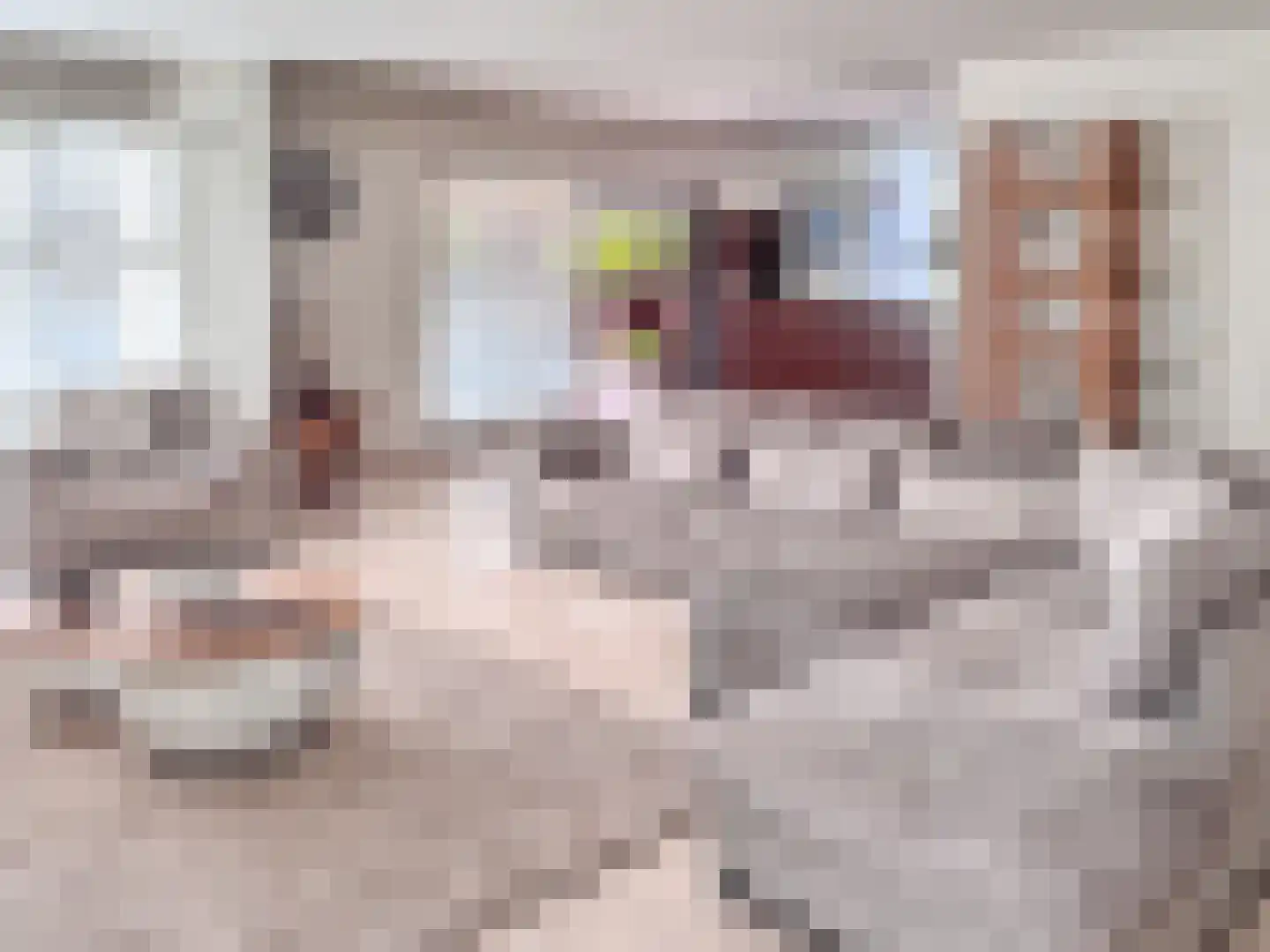 Johanna Westerdijk erf 49 Heerhugowaard thumbnail 4