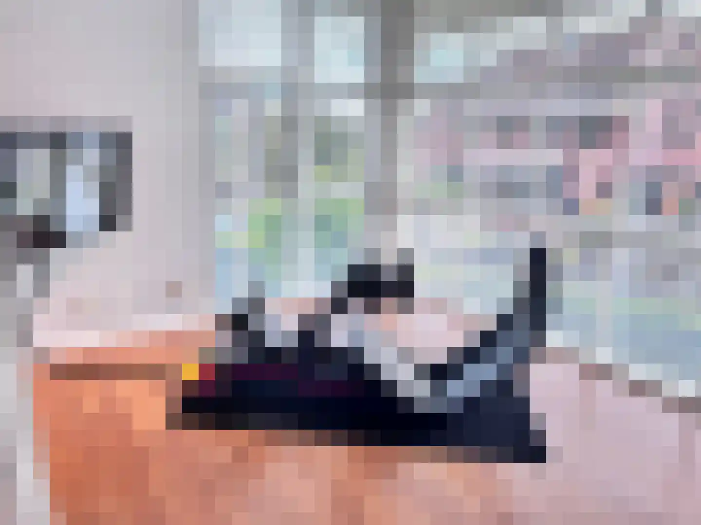 Johanna Westerdijk erf 49 Heerhugowaard thumbnail 53
