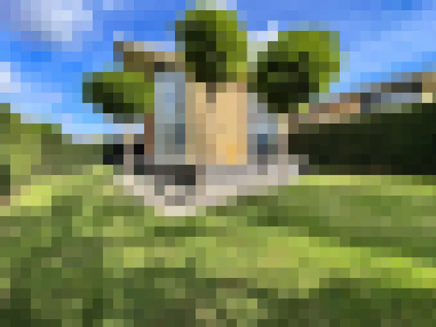 Johanna Westerdijk erf 49 Heerhugowaard thumbnail 86