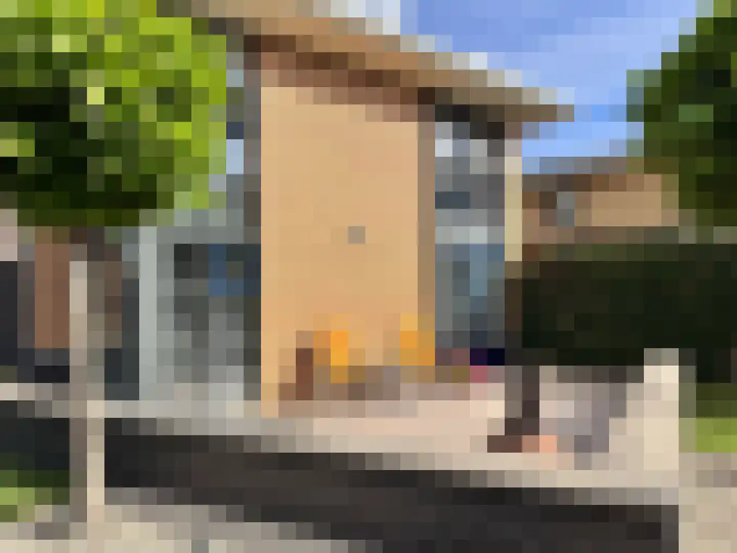 Johanna Westerdijk erf 49 Heerhugowaard thumbnail 89