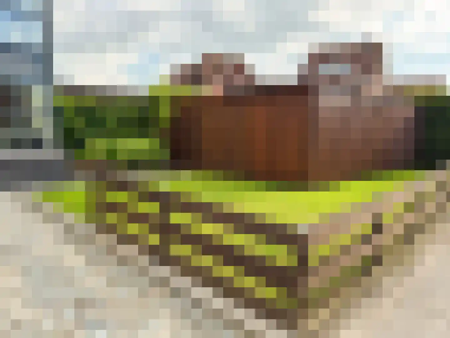 Johanna Westerdijk erf 49 Heerhugowaard thumbnail 99