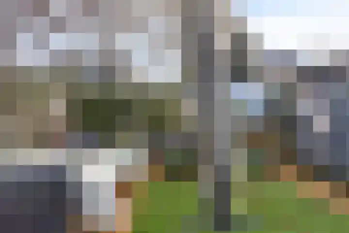 Johanna Westerdijk-serre 17 Amersfoort thumbnail 26
