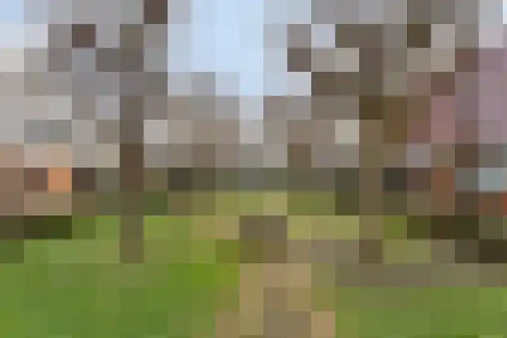 Johanna Westerdijk-serre 17 Amersfoort thumbnail 28