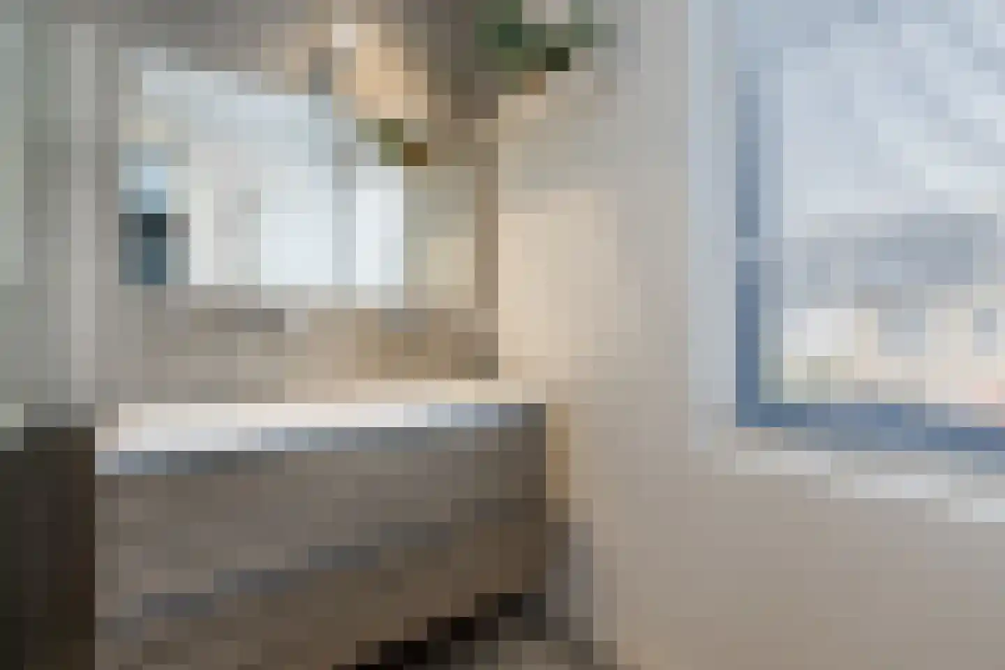 Johanna Westerdijklaan 12 Zaltbommel thumbnail 27