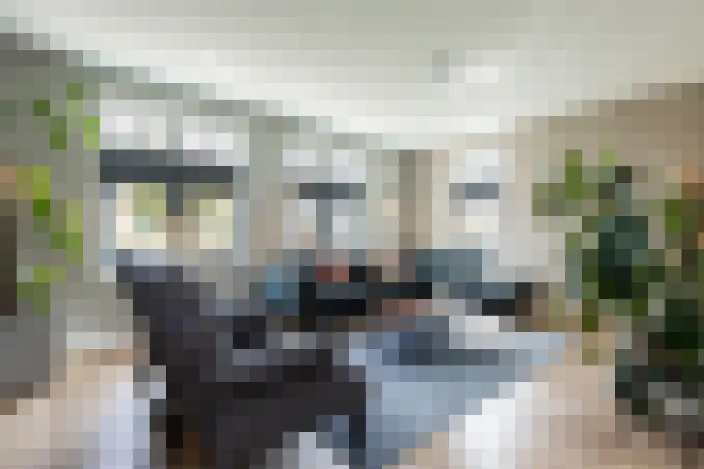 Johanna Westerdijklaan 12 Zaltbommel thumbnail 5
