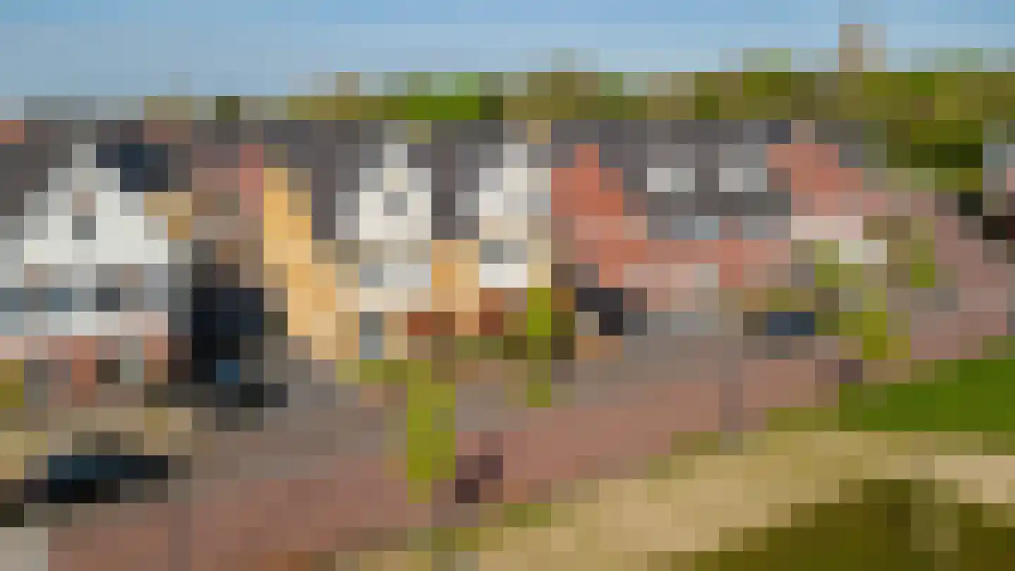 Johanna Westerdijklaan 12 Zaltbommel thumbnail 59
