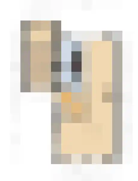 Johanna Westerdijklaan 12 Zaltbommel thumbnail 63