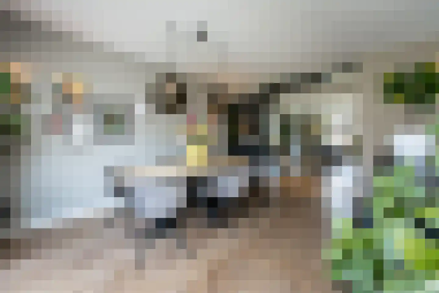 Johanna Westerdijklaan 12 Zaltbommel thumbnail 8