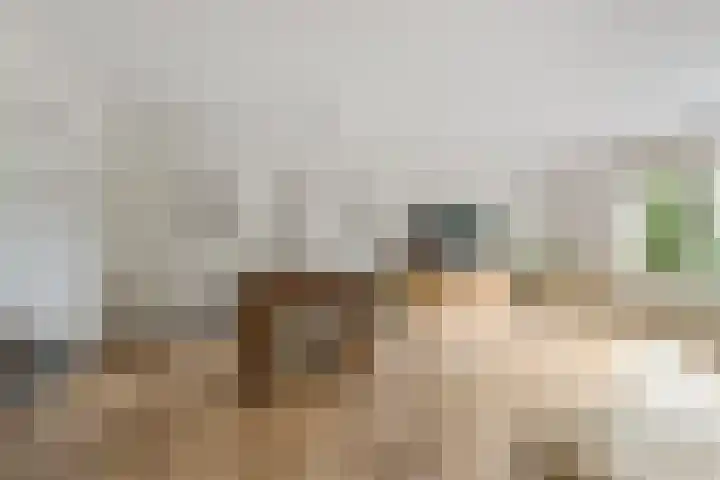 Johanna Westerdijklaan 17 Heemstede thumbnail 10