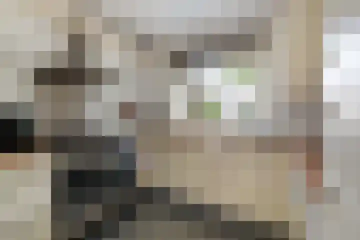 Johanna Westerdijklaan 17 Heemstede thumbnail 13