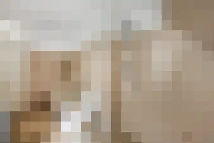 Johanna Westerdijklaan 17 Heemstede thumbnail 21