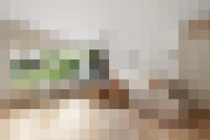 Johanna Westerdijklaan 17 Heemstede thumbnail 6