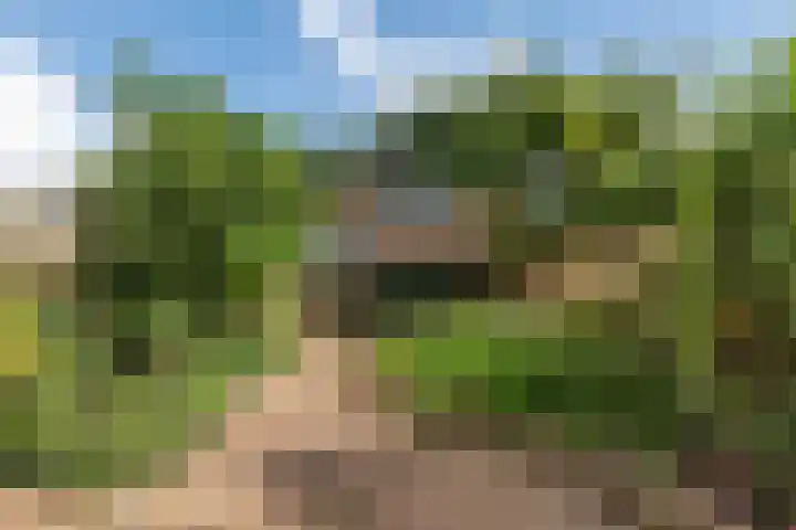 Johanna Westerdijklaan 17 Heemstede thumbnail 8
