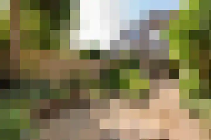 Johanna Westerdijklaan 17 Heemstede thumbnail 9