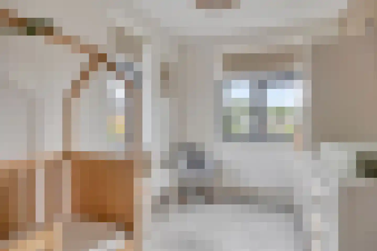 Johanna Westerdijklaan 18 Zaltbommel thumbnail 33