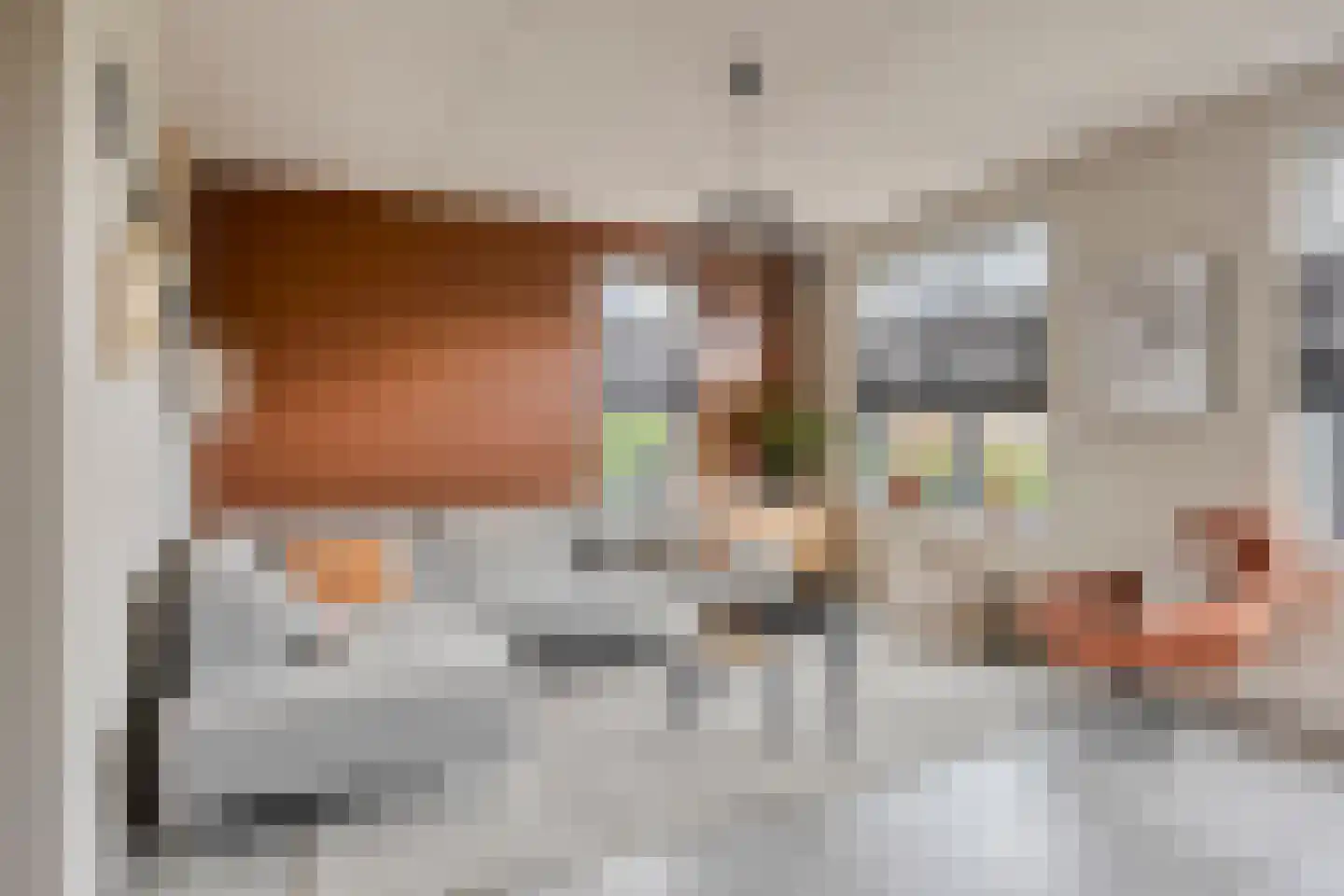 Johanna Westerdijklaan 18 Zaltbommel thumbnail 9