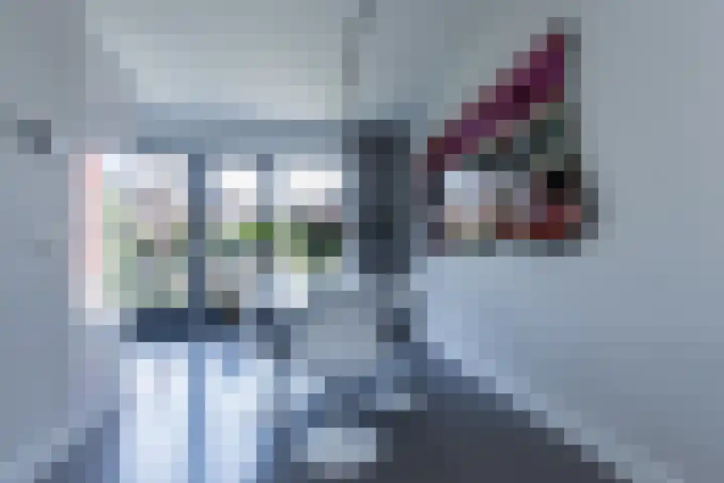 Johanna Westerdijklaan 20 Zaltbommel thumbnail 8