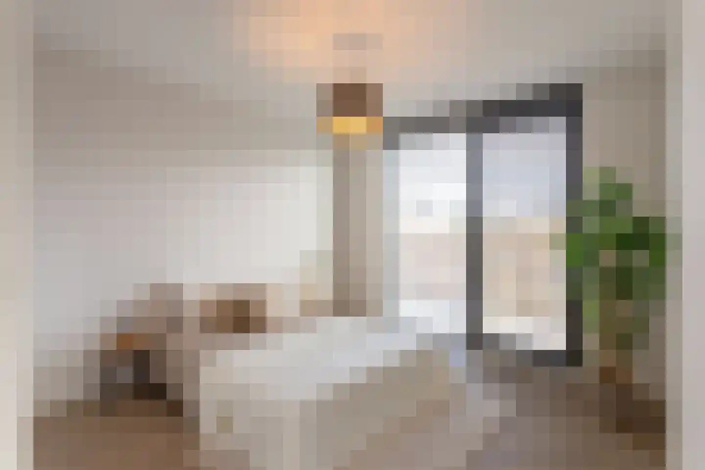 Johanna Westerdijkstraat 8 Helmond thumbnail 18