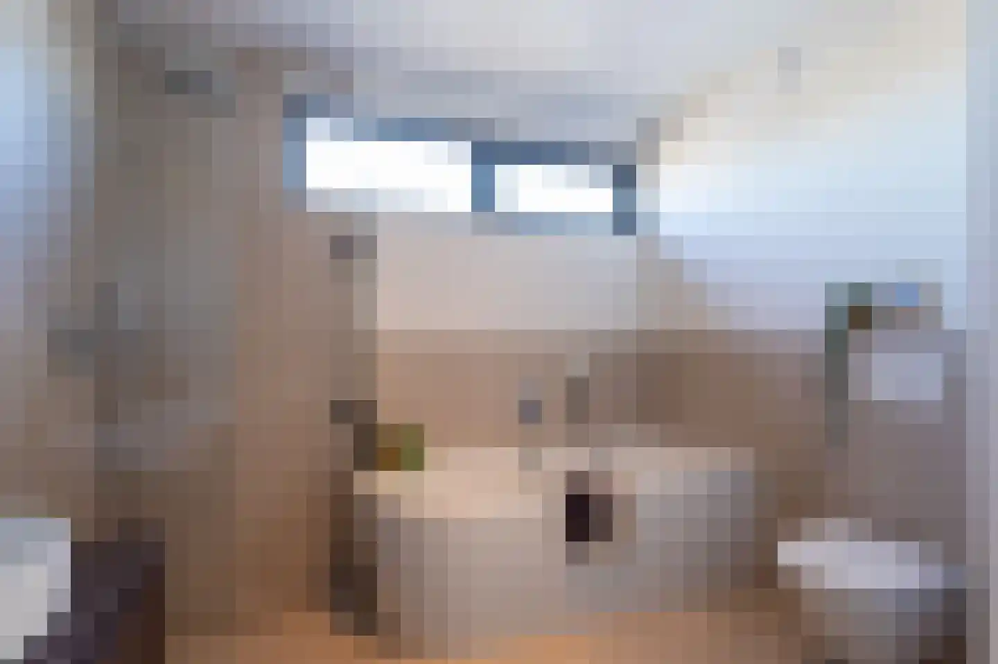 Johanna Westerdijkstraat 8 Helmond thumbnail 30
