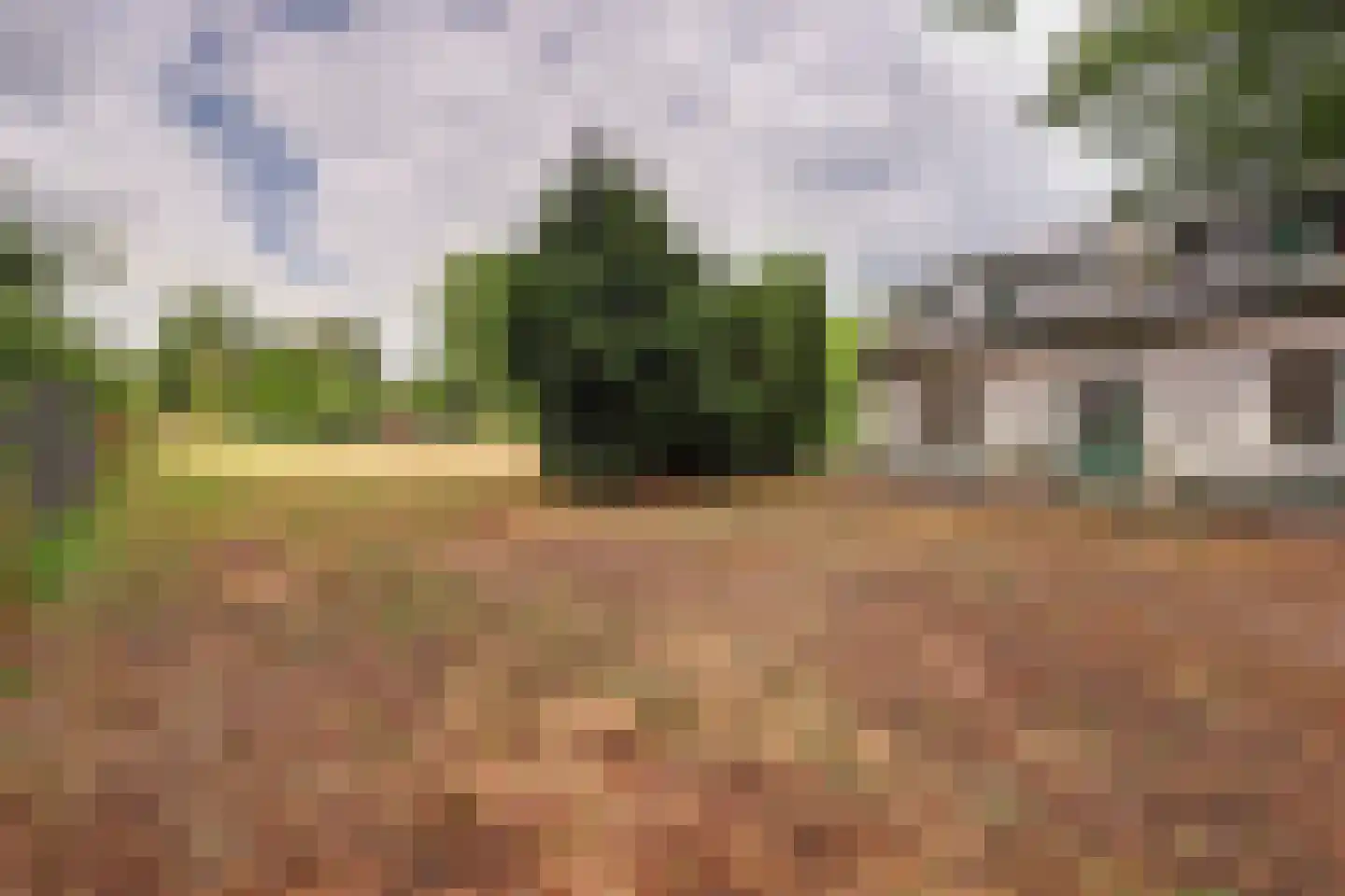 Johannahoeve 1 Oosterbeek thumbnail 10