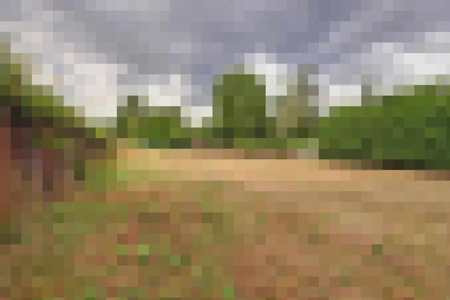 Johannahoeve 1 Oosterbeek thumbnail 11