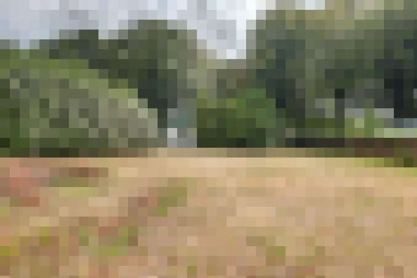 Johannahoeve 1 Oosterbeek thumbnail 16