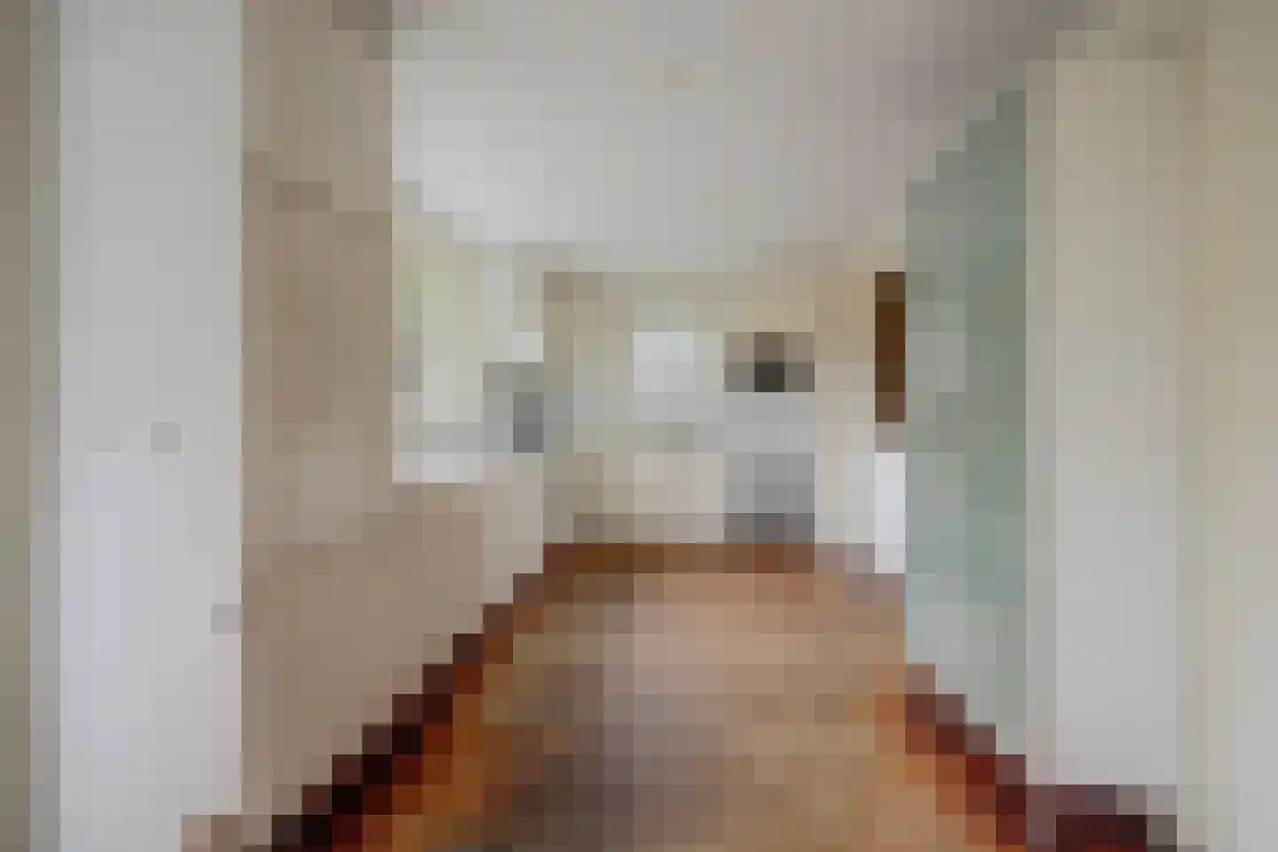 Johannahoeve 1 Oosterbeek thumbnail 23
