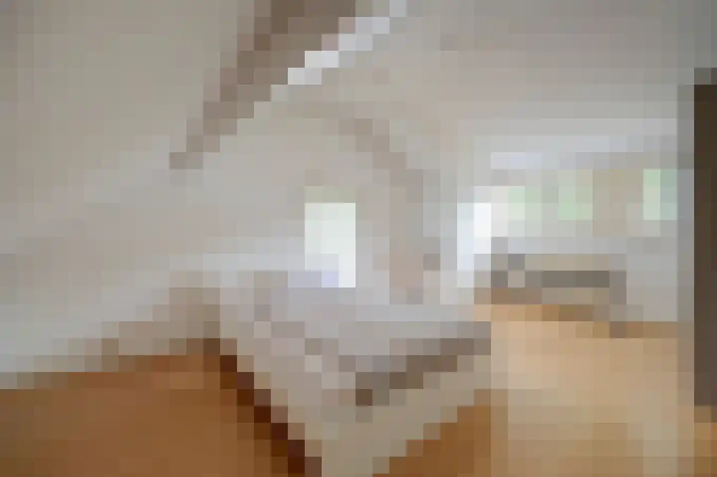 Johannahoeve 1 Oosterbeek thumbnail 24