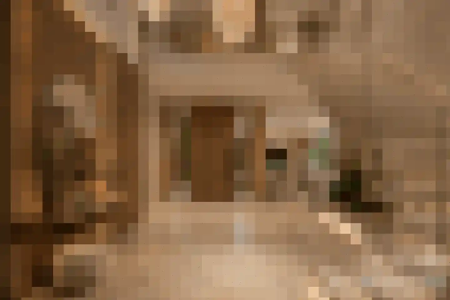 Johannahoeve 1 Oosterbeek thumbnail 27