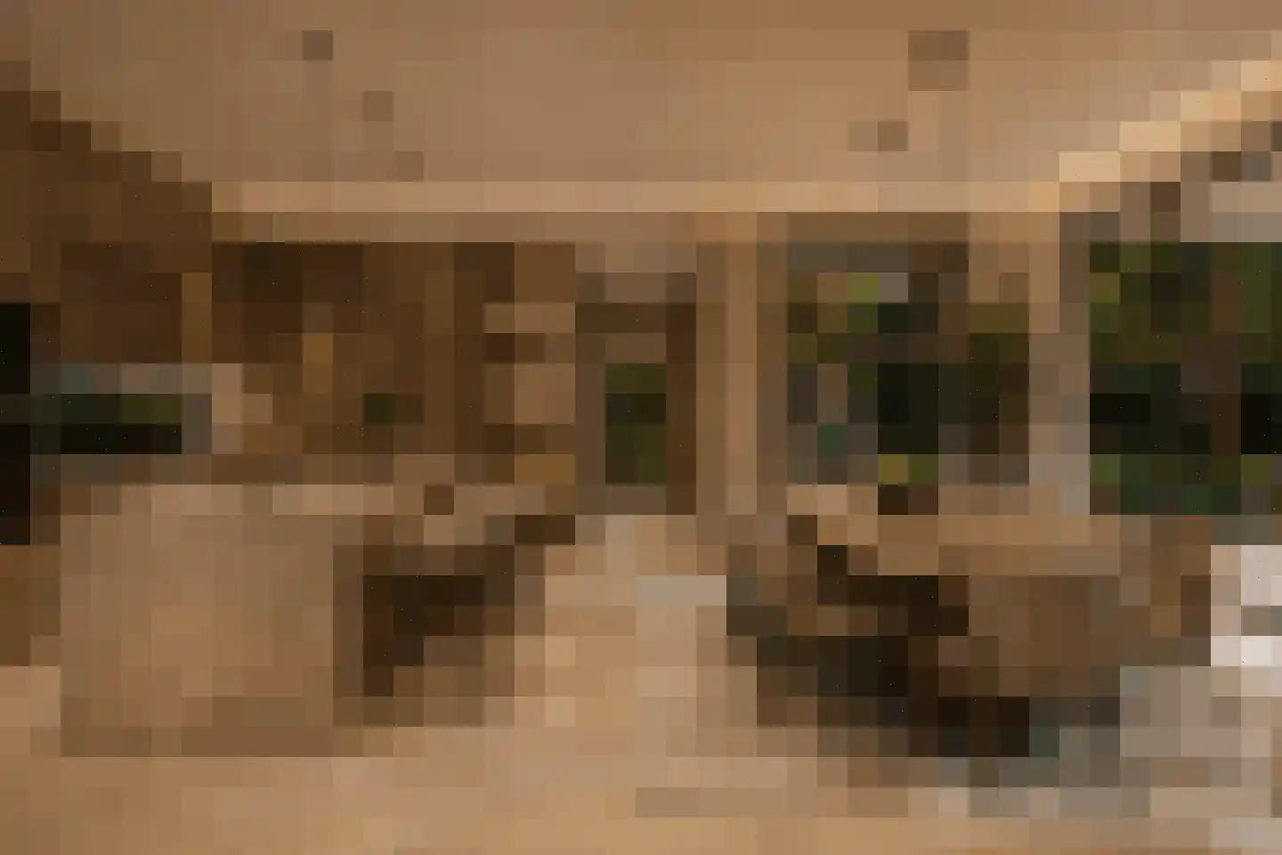 Johannahoeve 1 Oosterbeek thumbnail 29
