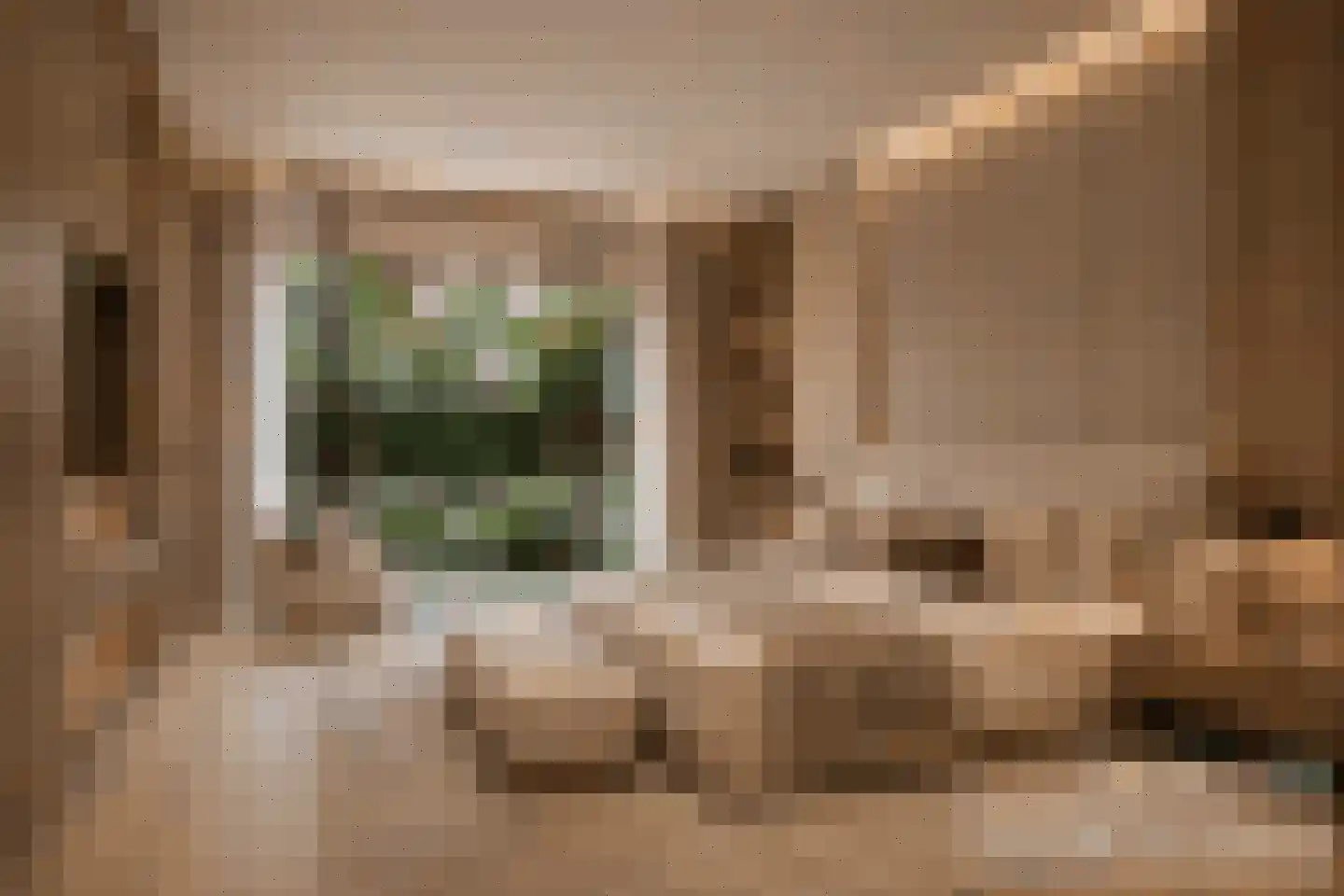 Johannahoeve 1 Oosterbeek thumbnail 30