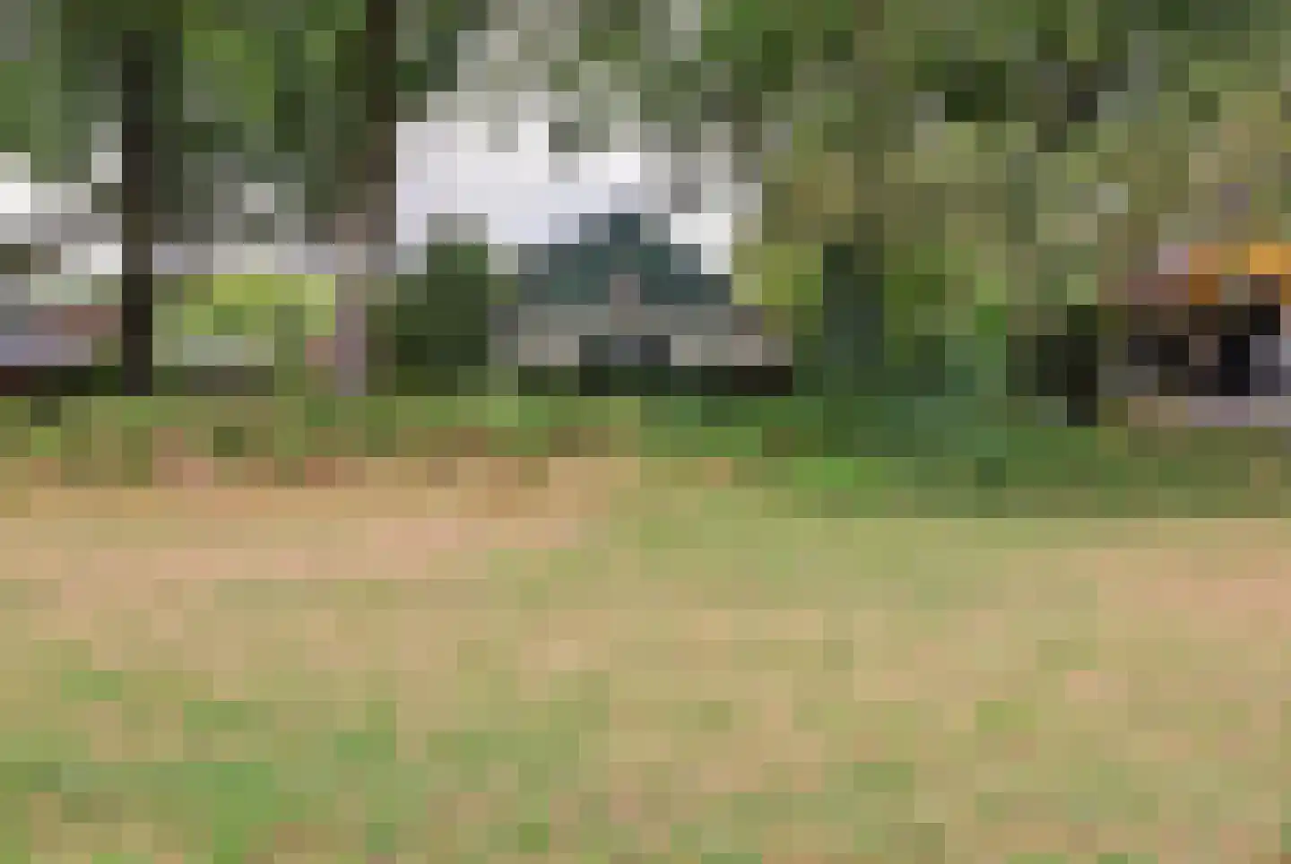 Johannahoeve 1 Oosterbeek thumbnail 32