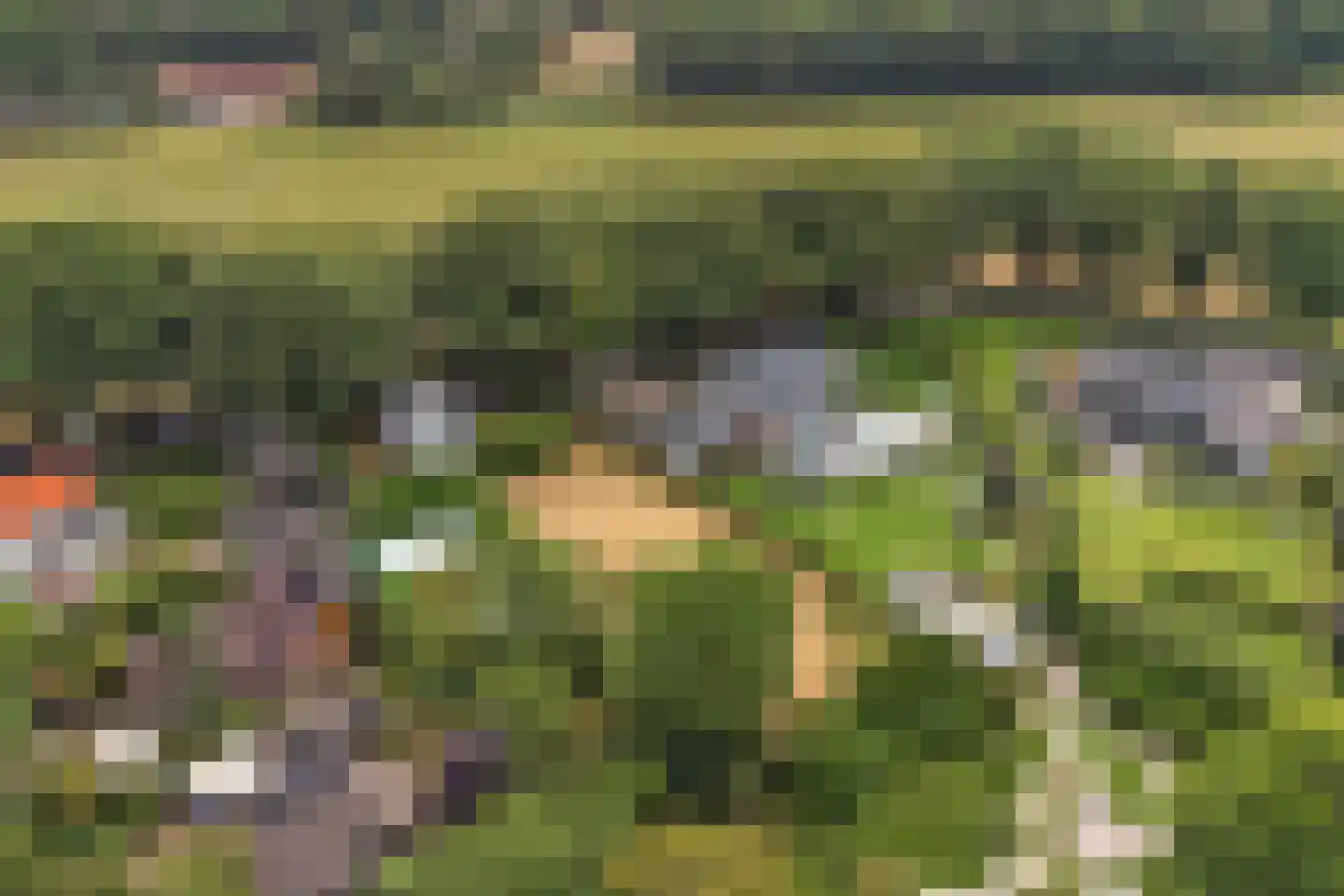 Johannahoeve 1 Oosterbeek thumbnail 36